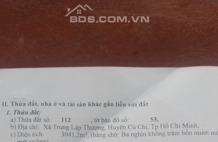 Bán đât lúa, 3041,2 m2. Hơn 2,5 tỷ. Quy hoạch khu dân cư kết hợp sản xuất. Xã Trung Lập Thượng, Củ Chi.Tp.HCM